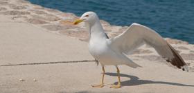 POZIV NA FOTO NATJEČAJ      