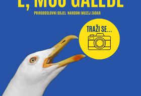 POZIV NA FOTO NATJEČAJ POZIV NA FOTO NATJEČAJ